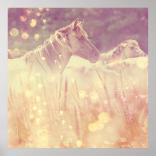 Affiche Jolie Mustang Parties scintillant d'or sauvage Hor