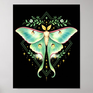Affiche Jolie papillon lune mignonne amateur d'insectes