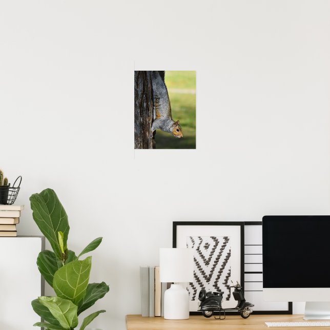 Affiche Jolie photo de la nature d'un écureuil gris de l'E (Bureau à domicile)
