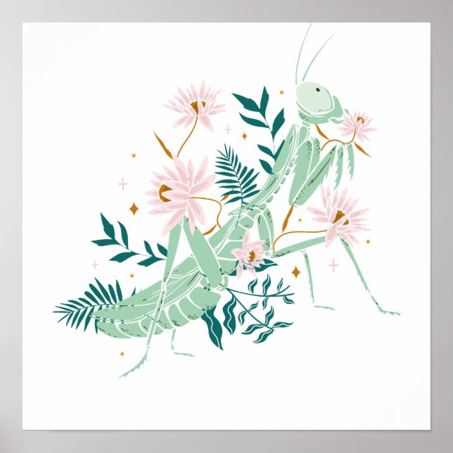 AFFICHE JOLIE SAUTERELLE (Devant)