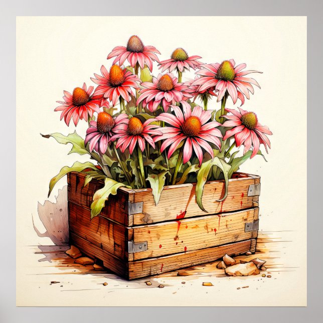 Affiche Jolies fleurs d'aster plantées (Devant)