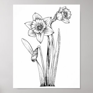 Affiche Jonquille Jonquilles Fleurs Floral Printemps Pâque