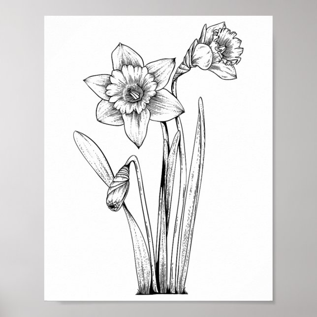 Affiche Jonquille Jonquilles Fleurs Floral Printemps Pâque (Devant)