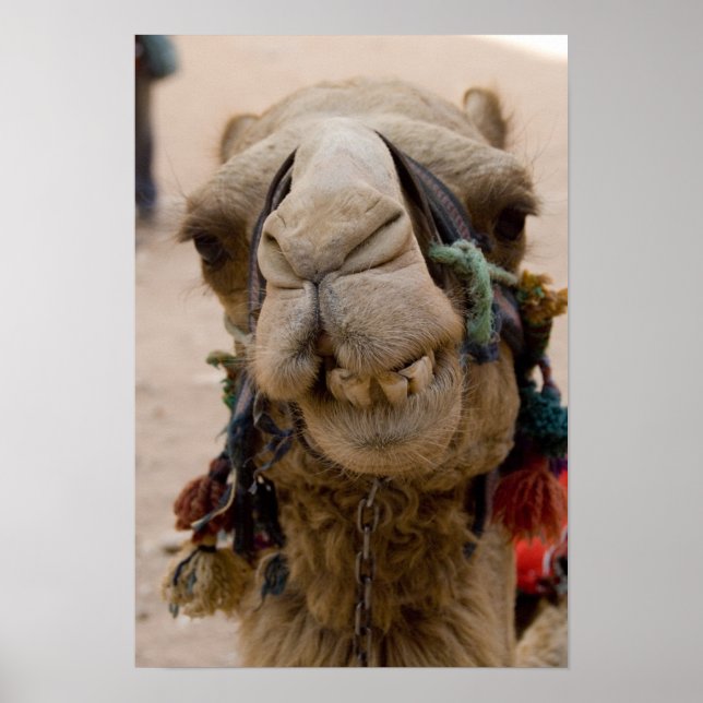 Affiche Jordanie, ancienne ville nabatéenne de Petra. Loca (Devant)