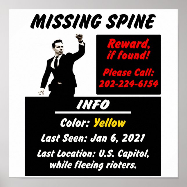 Affiche Josh Hawley Missing Spine (Devant)