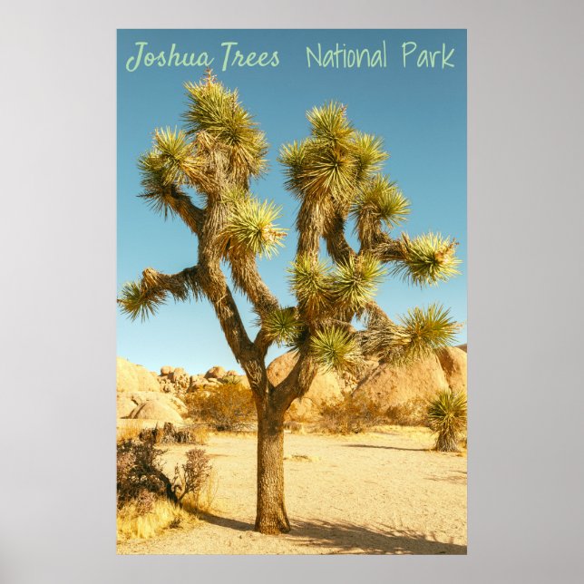 Affiche Joshua Tree (Devant)
