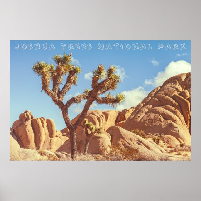 Affiche Joshua Trees Parc National Paysage Paysage (Devant)