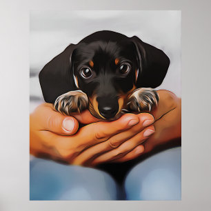 Affiche Jote Chiot Dachshund Qui Met À Jour Les Genoux Hum