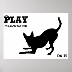 Affiche Jouer au chien