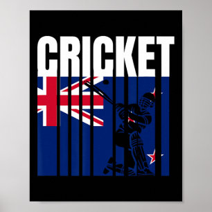 Affiche Joueur de cricket 4