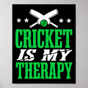 Affiche Joueur de cricket hommes cricket