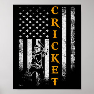 Affiche Joueur de cricket vintage Usa Drapeau américain Pa