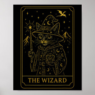 Affiche Joueur Rpg Sorcier D20 Dés Drôle Geek Chat Hommes