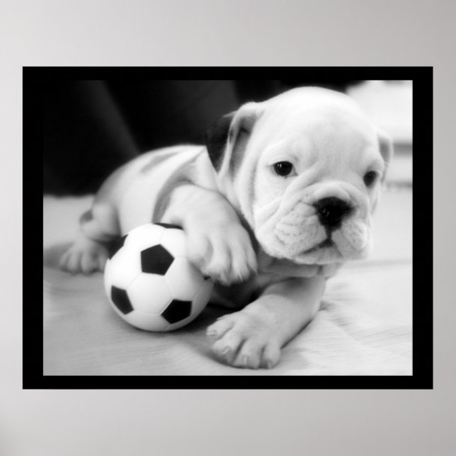 Affiche "Jouons au football" English Bulldog (Devant)