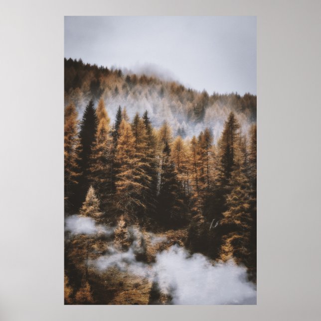 AFFICHE JOUR DE NUAGE ET ARBRES À L'HEURE DU JOUR (Devant)