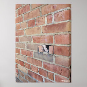 Affiche Jour d'entraînement