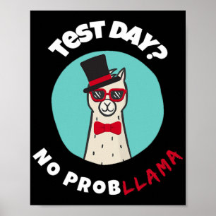 Affiche Jour Pas De Problème Drôle Test Llama Design