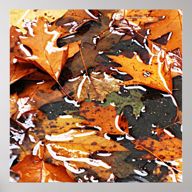 Affiche Jour Pluvieux Feuilles (Devant)
