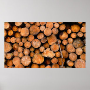 Affiche journaux sciés