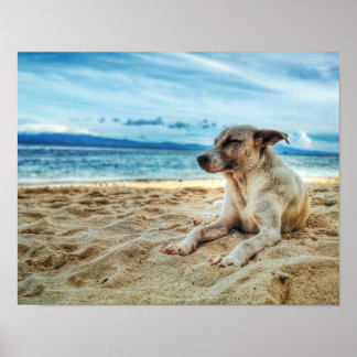 Affiche Journée de farniente de chien à la plage, Ocean Sa