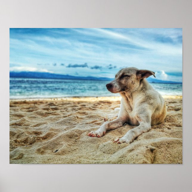 Affiche Journée de farniente de chien à la plage, Ocean Sa (Devant)