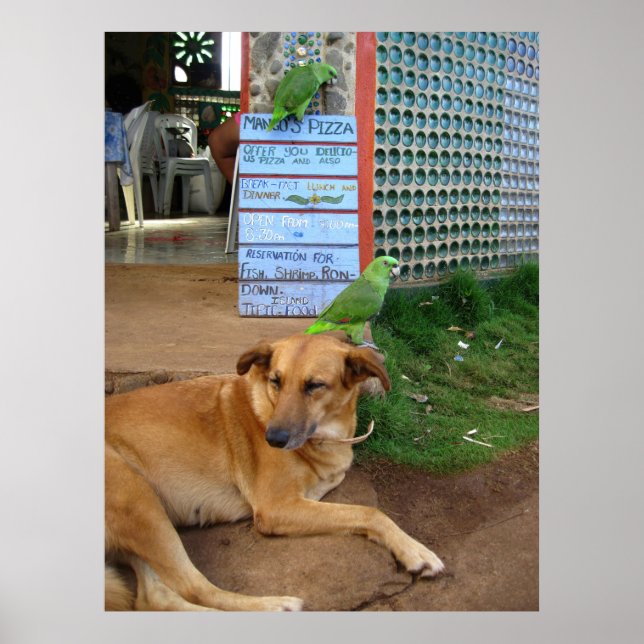 Affiche Journée du chien à Little Corn Island (Devant)