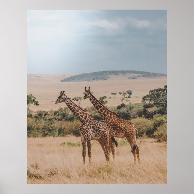 AFFICHE JOURNÉE MONDIALE DE LA FAUNE (Devant)