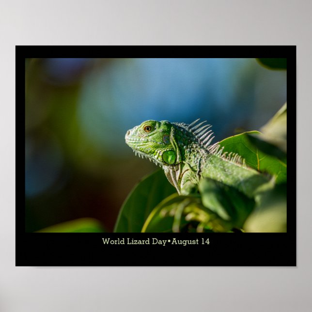 Affiche Journée mondiale du Lézard, iguane (Devant)