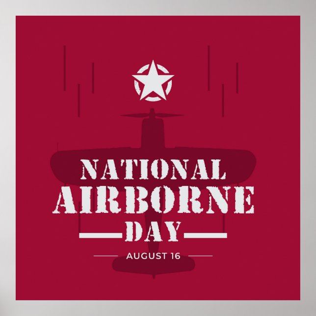 Affiche Journée nationale de l'aviation (Devant)