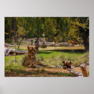 Affiche journée paresseuse