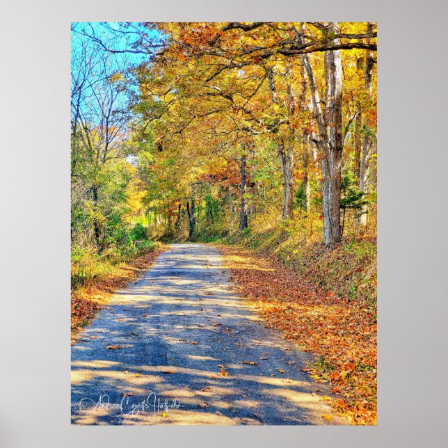 Affiche Journey Ahead (Devant)