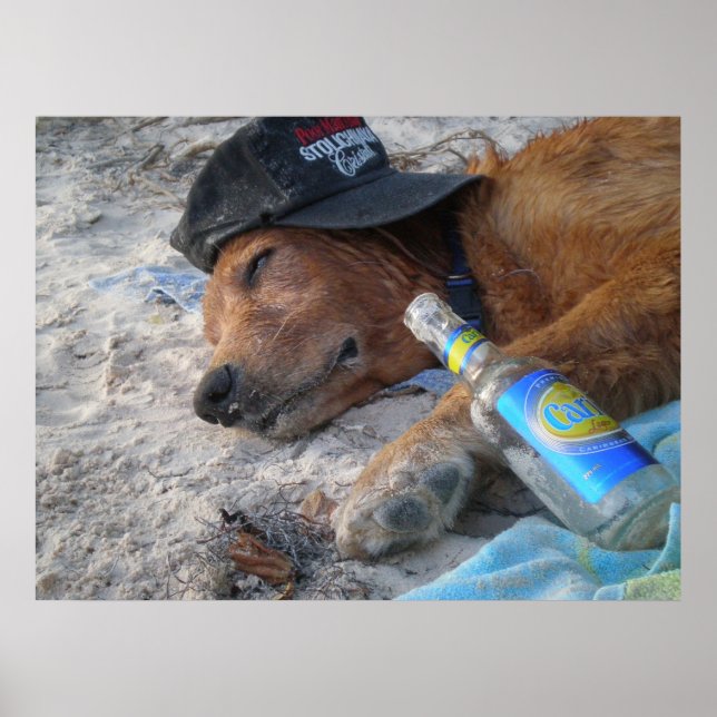 Affiche Jours de chien (Devant)