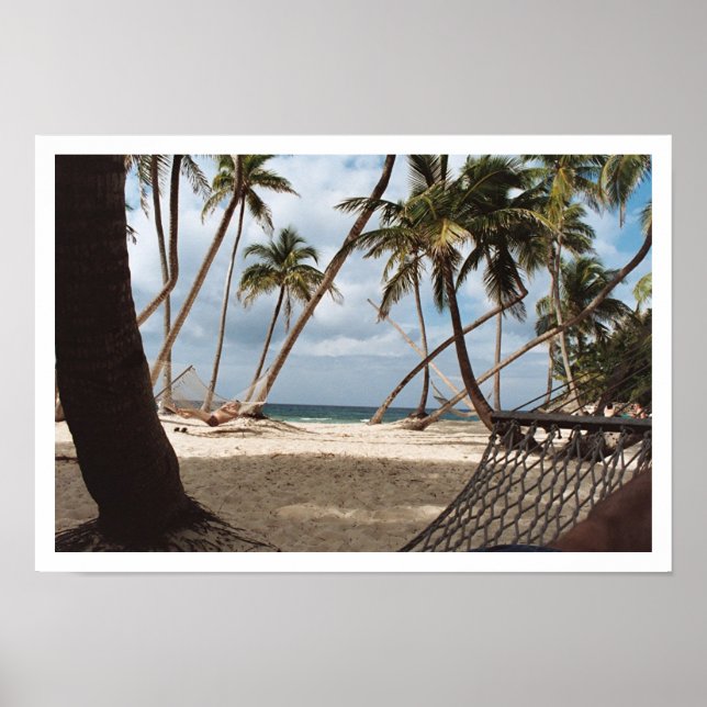 Affiche Jours de palmiers laïcs (Devant)