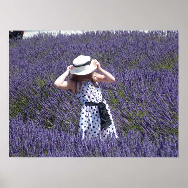 Affiche Jours Lavender (Devant)