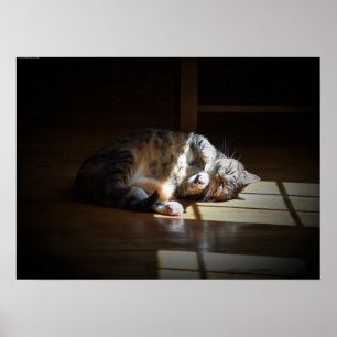 Affiche Jours Lents,