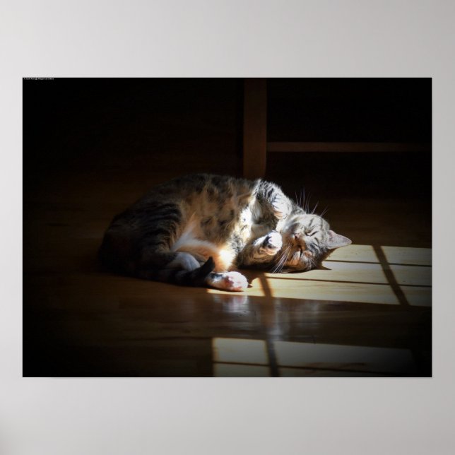 Affiche Jours Lents, (Devant)