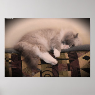 Affiche Jours Lents,