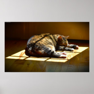 Affiche Jours Lents,