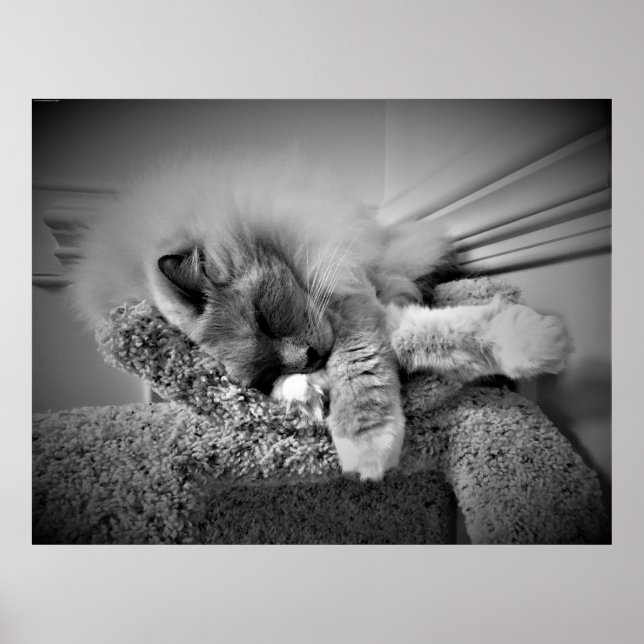 Affiche Jours Lents, (Devant)