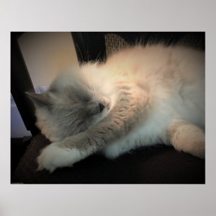 Affiche Jours Lents,