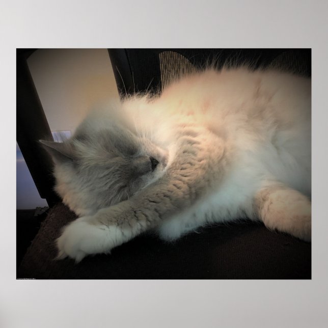 Affiche Jours Lents, (Devant)