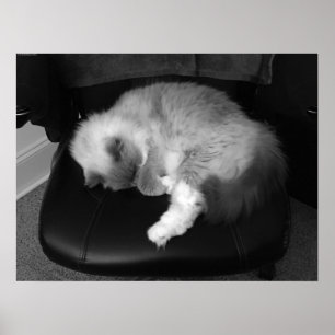 Affiche Jours Lents,