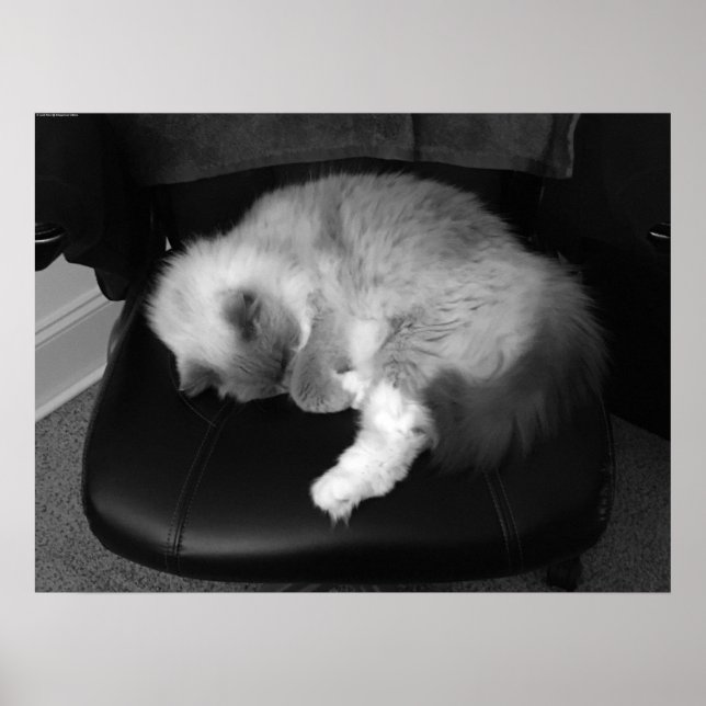 Affiche Jours Lents, (Devant)