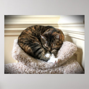 Affiche Jours Lents,