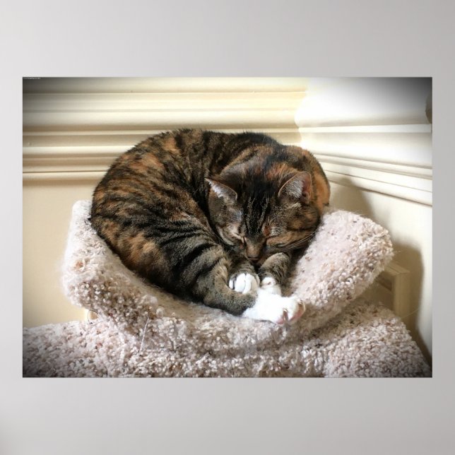 Affiche Jours Lents, (Devant)