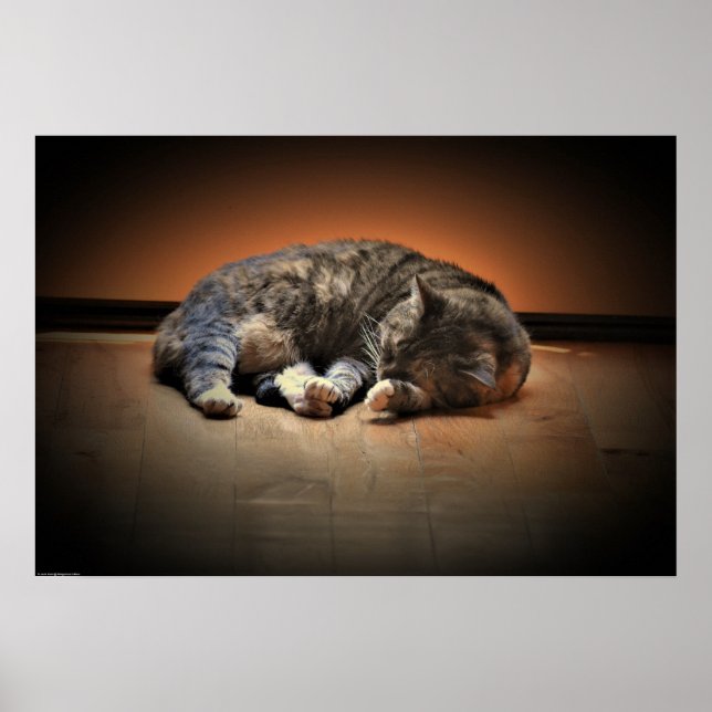 Affiche Jours Lents, (Devant)