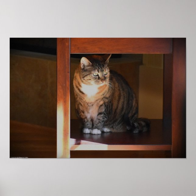 Affiche Jours Lents, (Devant)