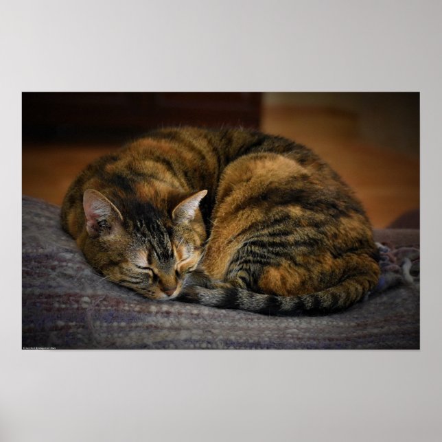 Affiche Jours Lents, (Devant)