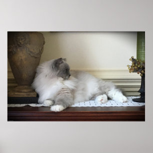 Affiche Jours Lents,