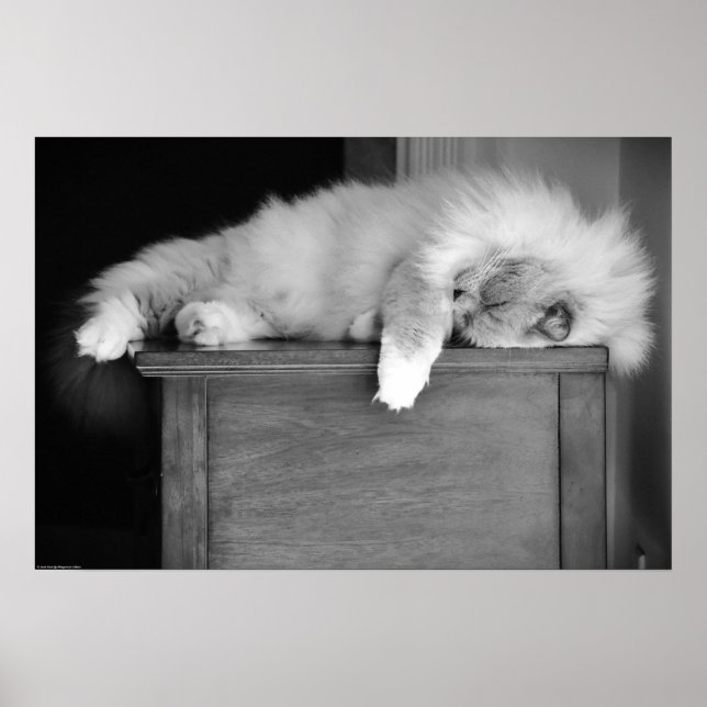 Affiche Jours Lents, (Devant)